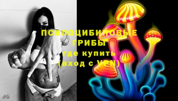 герыч Алексин