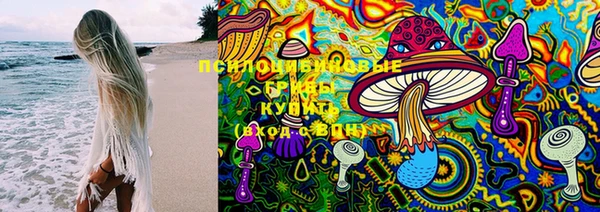 герыч Алексин