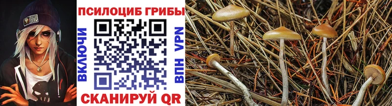 ссылка на мегу ONION  где продают наркотики  Череповец  Псилоцибиновые грибы ЛСД 